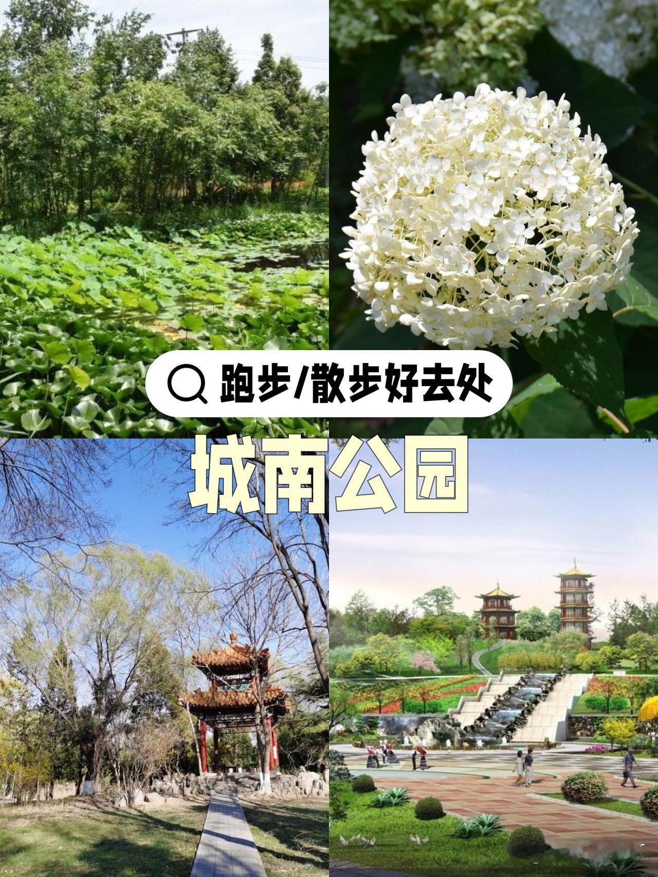 春日慢跑指南｜城南公园的松弛感路线

刚从城南公园回来，迫不及待想分享这条宝藏跑