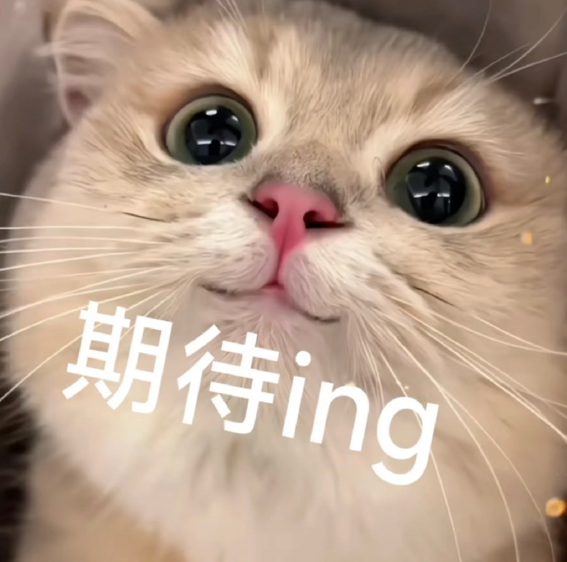 马上五点了，最早一批下班的家人已经摩拳擦掌了吧，今天下雪是不是很多人晚餐要配火锅