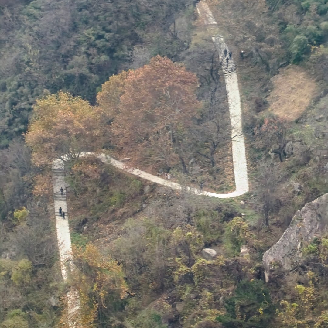起绰号很不好，今天你不群，明天他正飞，越来越极端，黑公关水军肆虐，搞得所有人都一