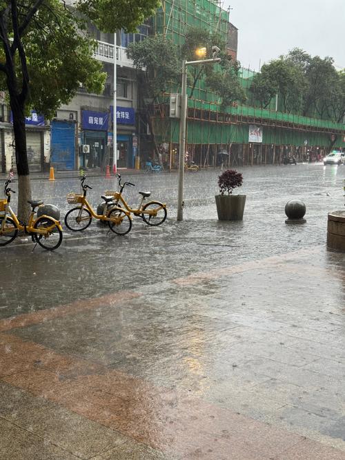 最近武汉天气[切换] 暴雨转大雨 24 ~ 32℃西南风2级 空气质量指数: 2