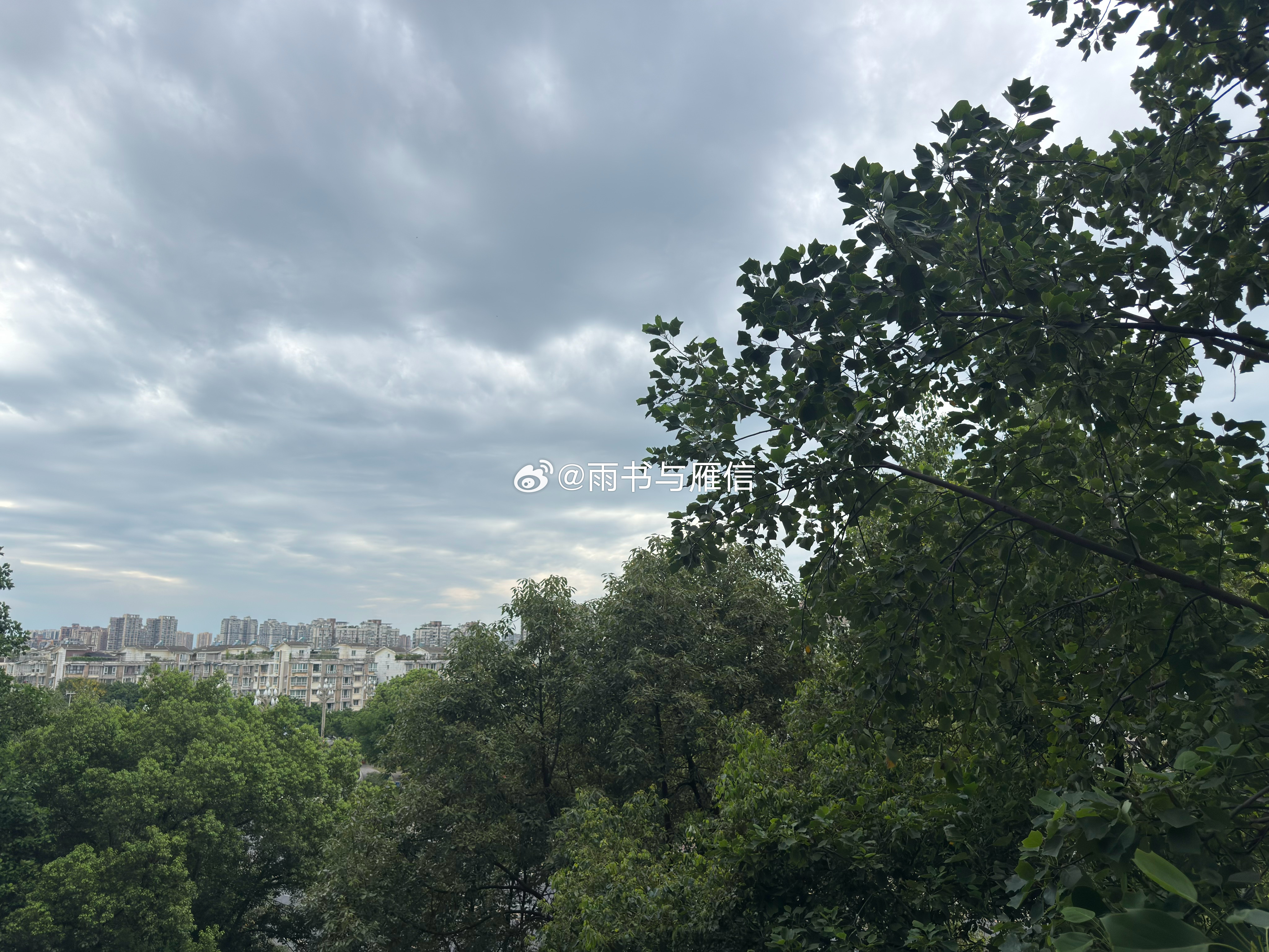 文案  乌云压着整片城区，绿树层层叠叠，看着平静安稳，像我人前的模样。表面装作轻