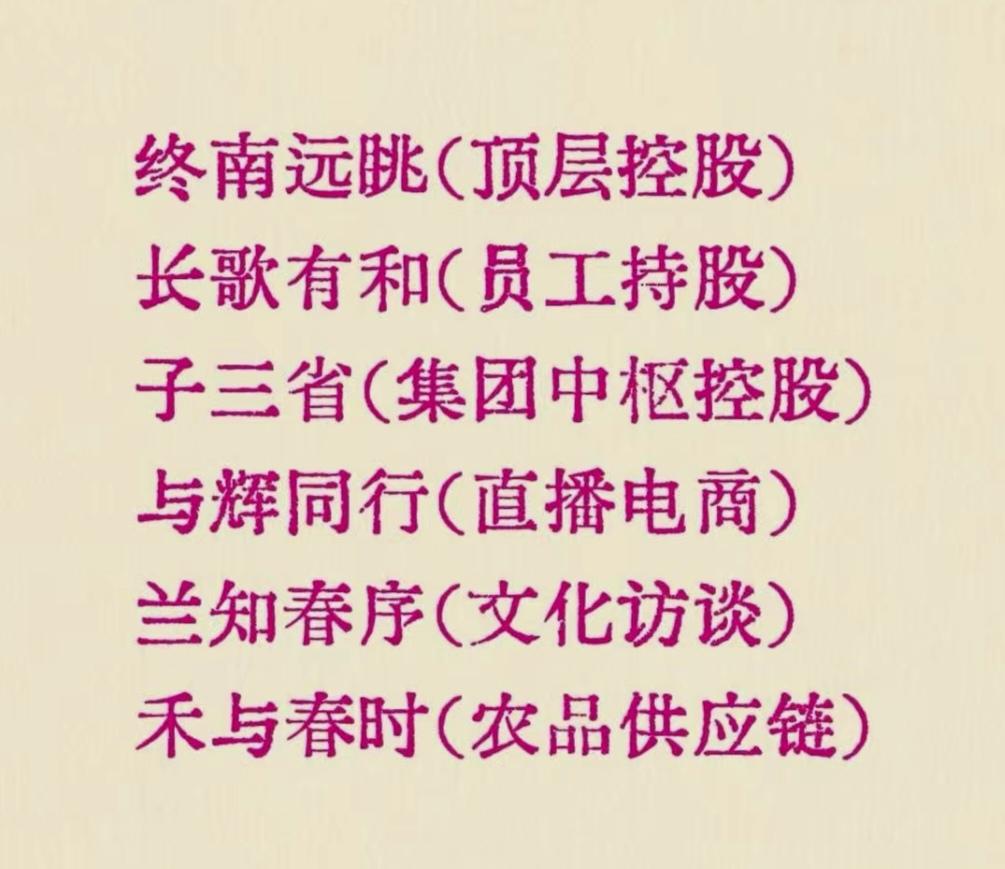 董宇辉除了“与辉同行”，截止到8月9日共六家公司了，你最喜欢哪个？