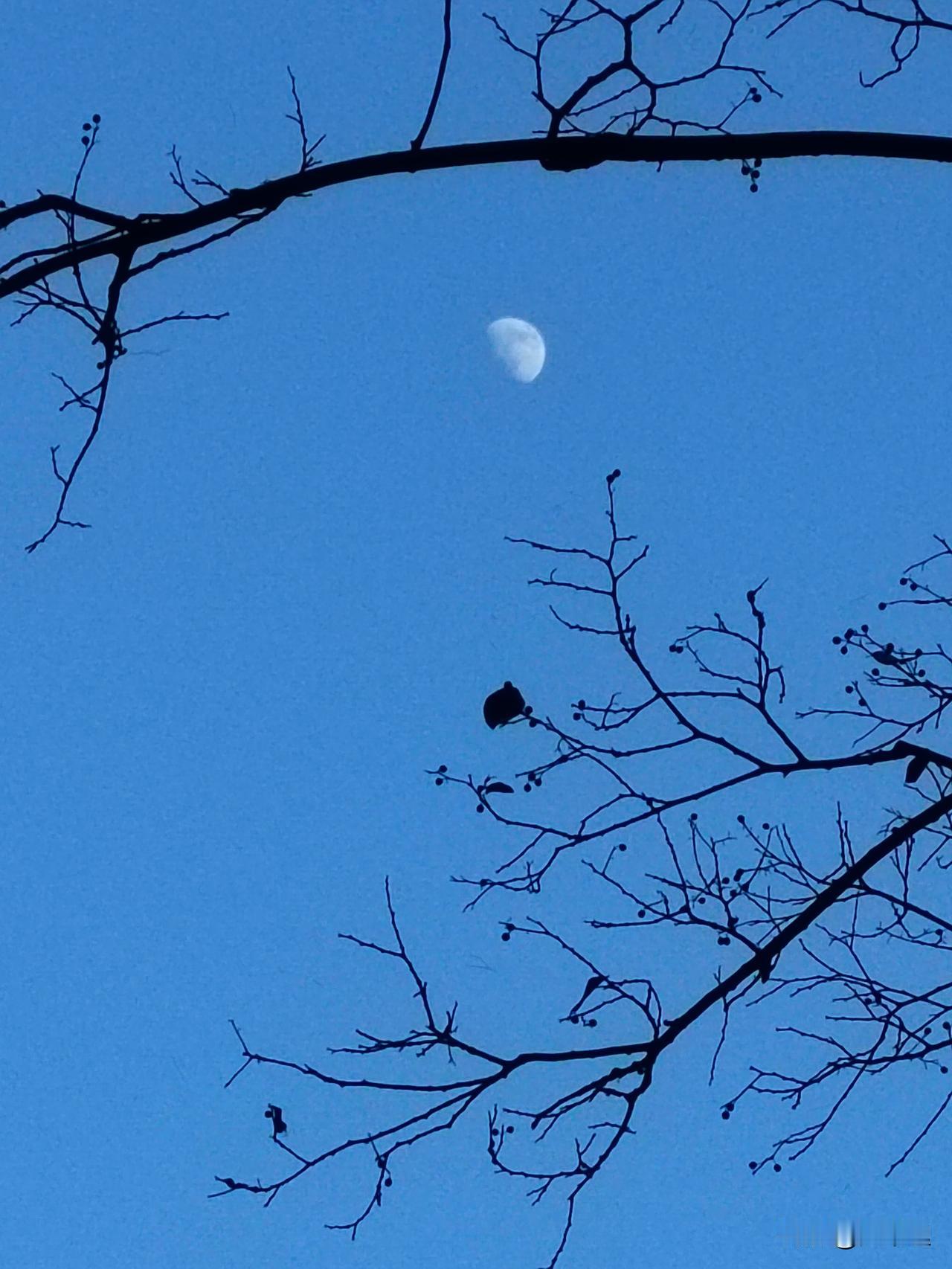 酒鬼的人工降雨
        一酒鬼在外面喝酒，半夜三更醉醺醺回到家里，先喝了