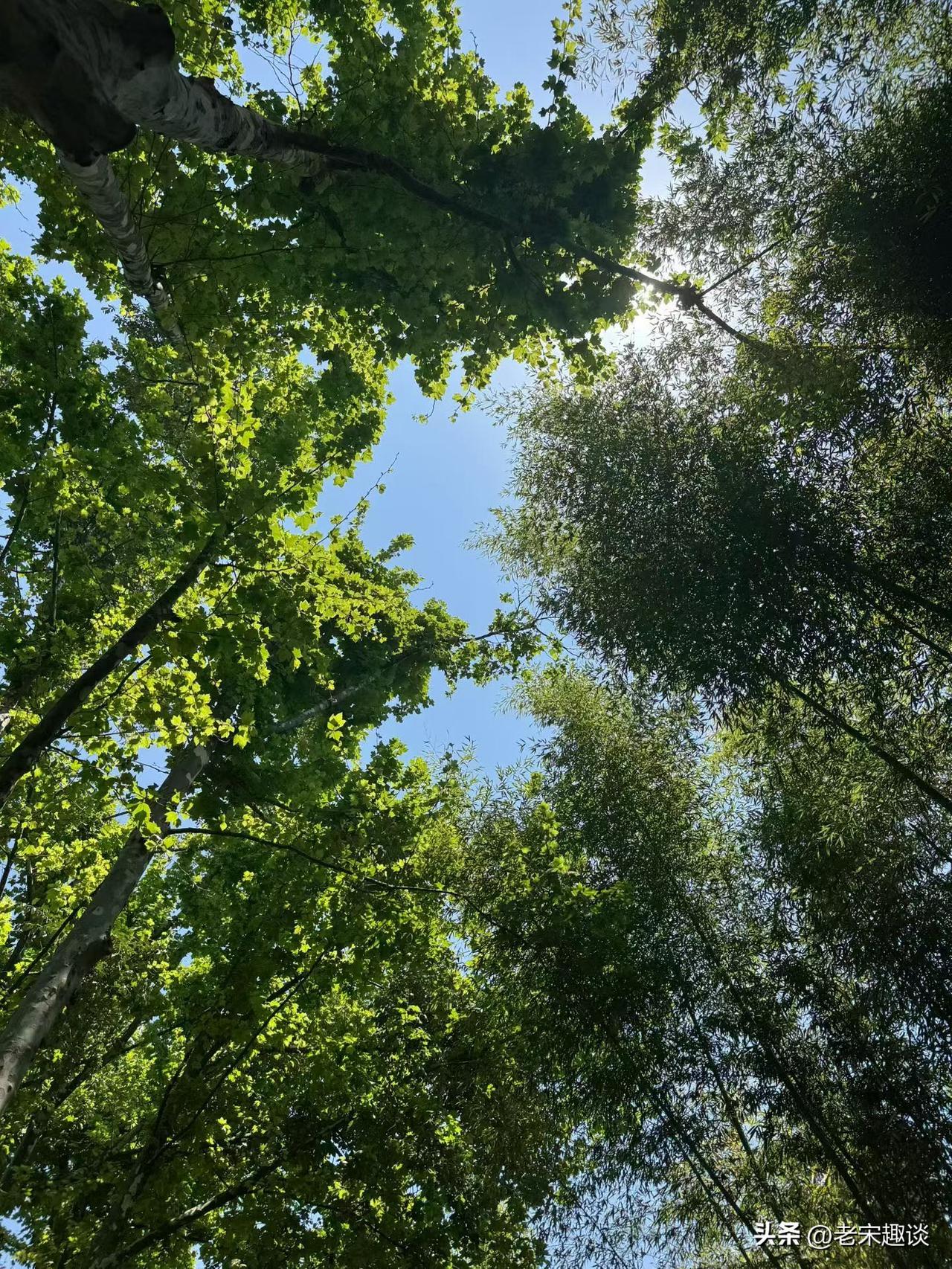 在生活中你一定要记住，一个人的人缘好，并不代表他的人品好。

人缘好的人只能代表