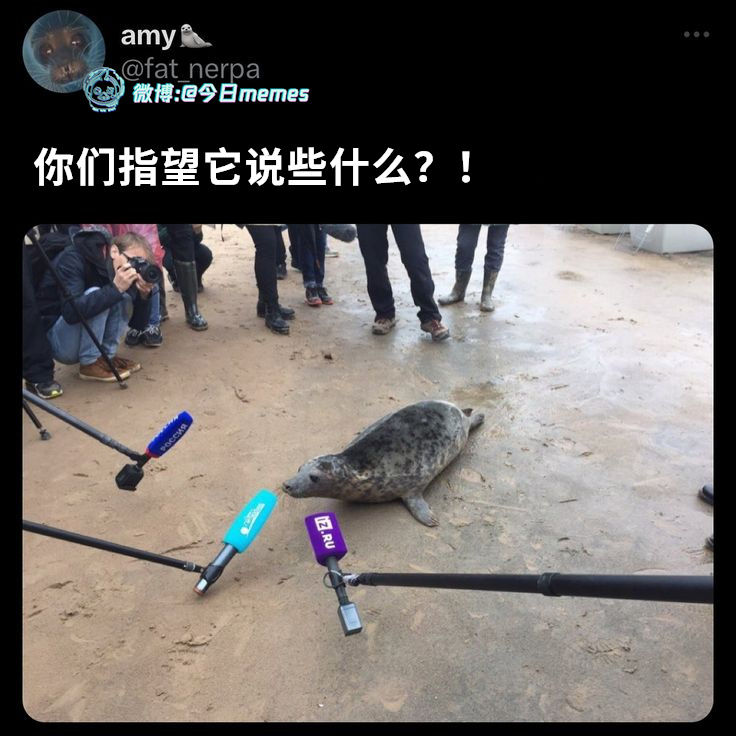 懊吾袄乌（fat_nerpa）今日meme今日memes