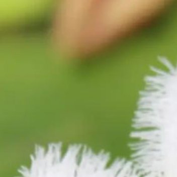 正能量我们应保持耐心和信念，不被焦急和忧虑困扰，因为命运终会将其带来。同时，珍惜