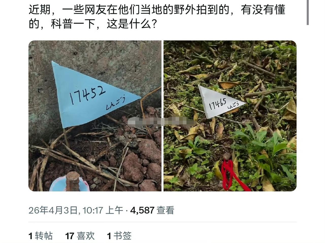 这是什么？网上看到有网友发布的。
好像是日文，难道是日本人又在做什么标记？坐标？