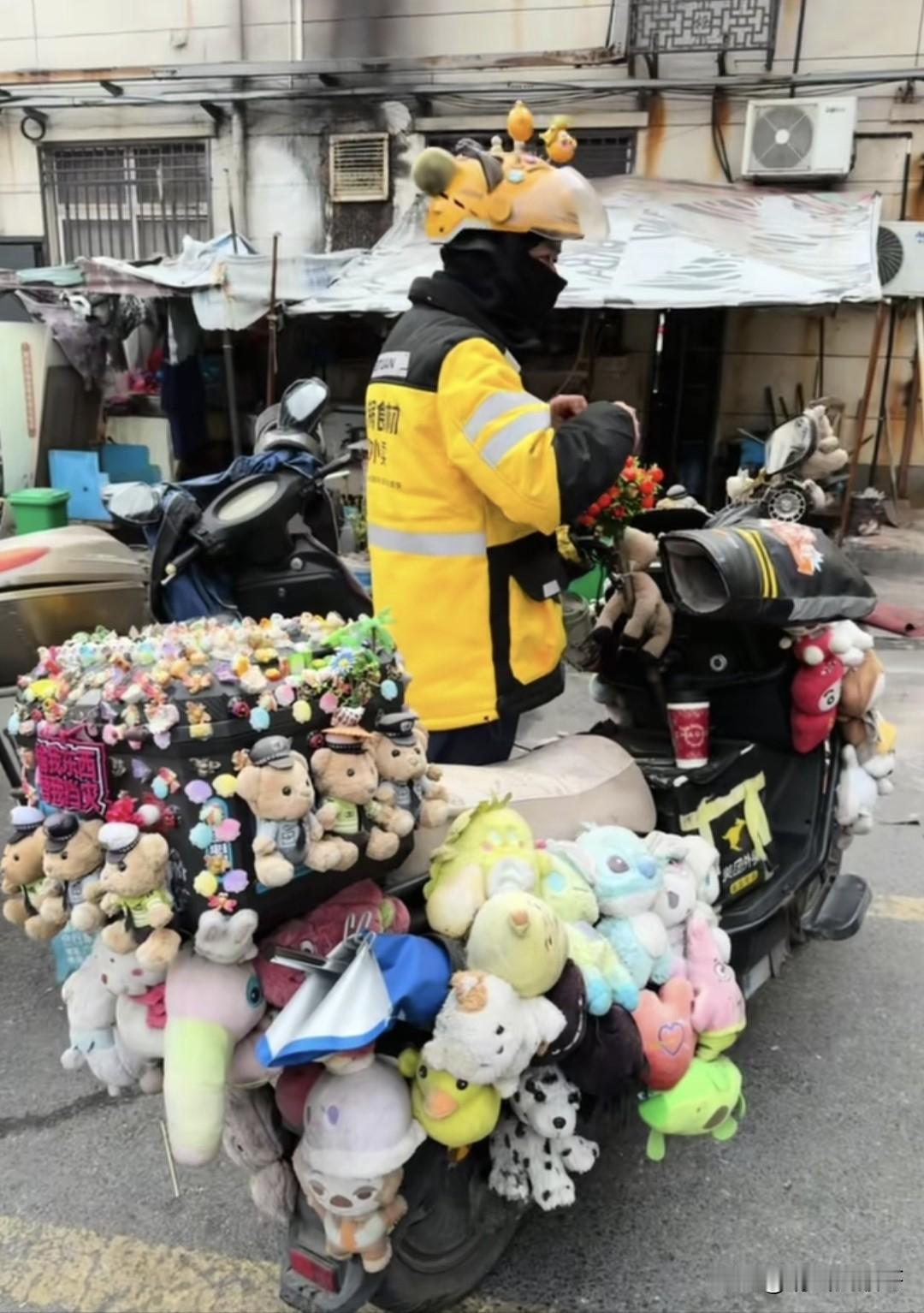 布偶比车都贵了……