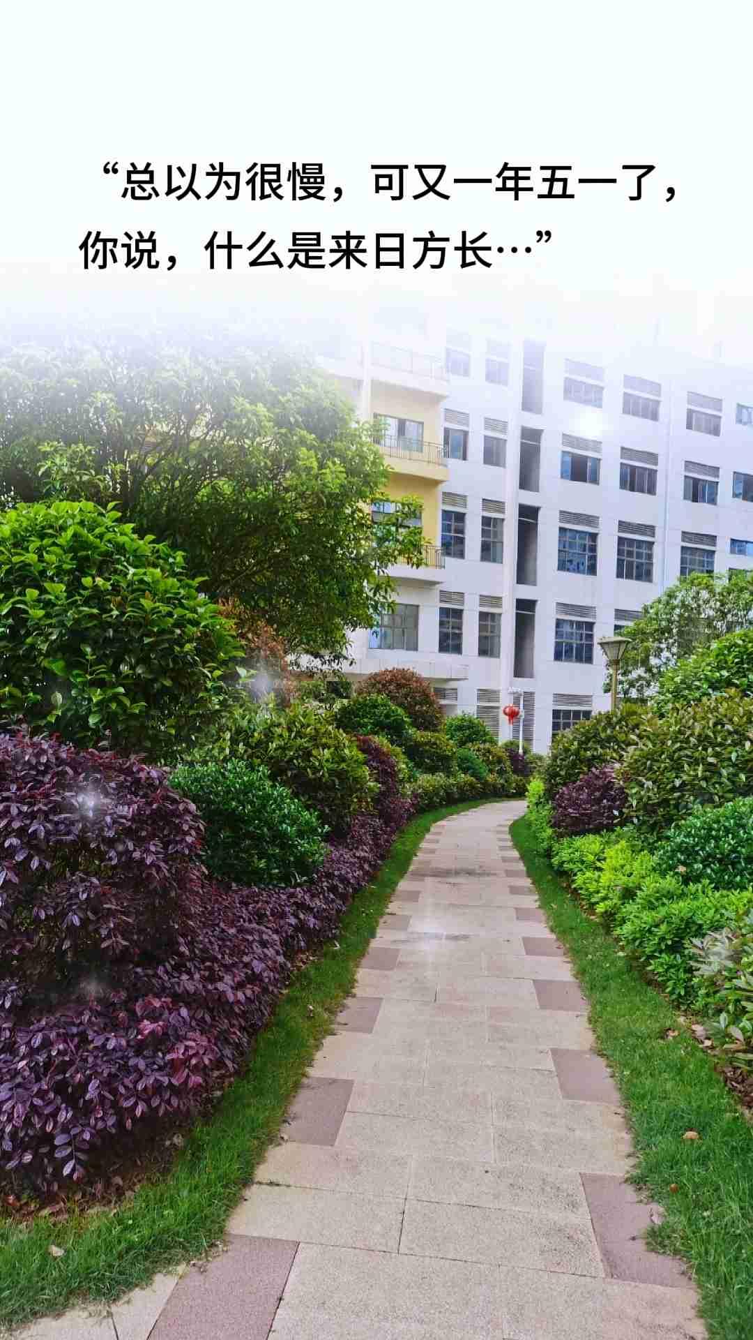 我的今日状态：💪🏻充满干劲
我这里的天气：☀️晴天

请别辜负这趟人间，能来