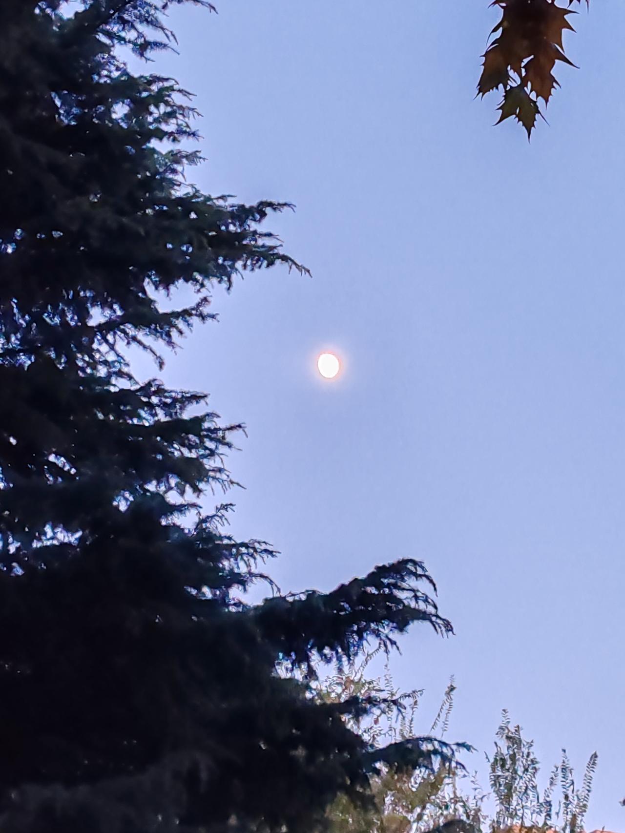 上联：明月窗前窥墨客，求下联寺灯殿内照夜僧