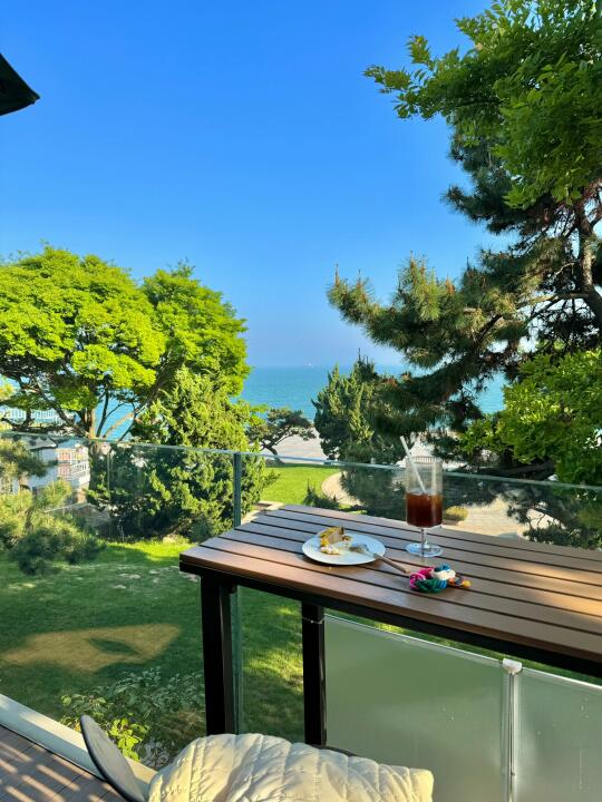 ·青岛 海边公园里的☕️！！🌊太适合发呆了