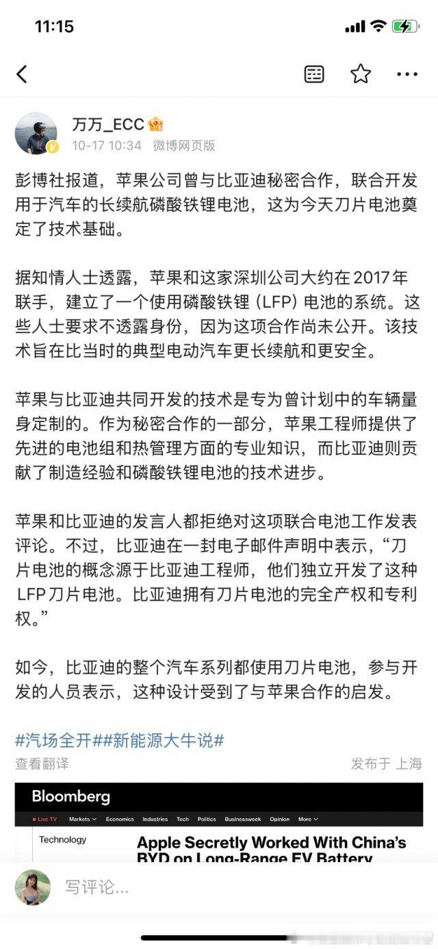 能这样子找爹？味道太大了。一看是彭博社，那没事了。苹果有什么B技术能指导比亚迪？