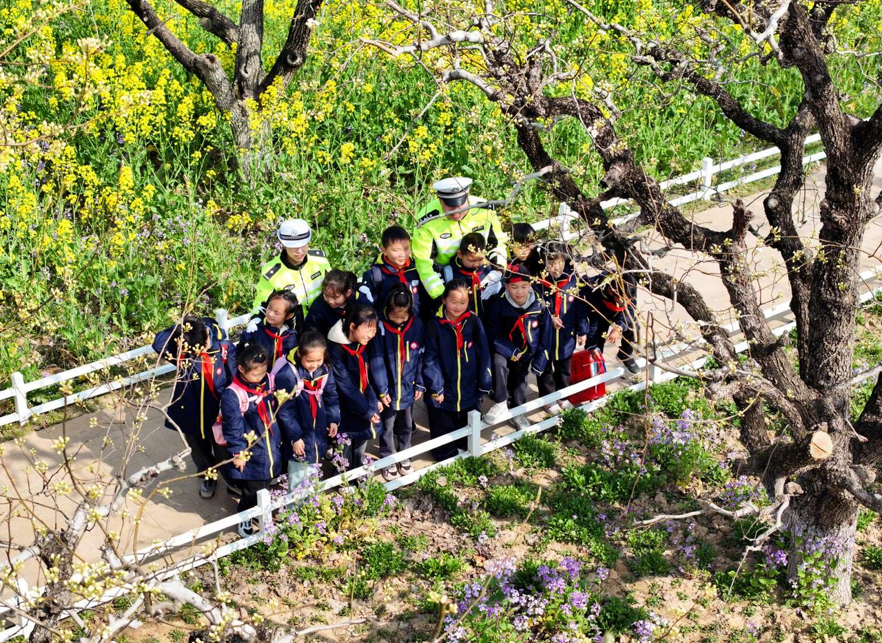 安全课堂搬进春日花海】3月27日，江苏省淮安市公安局交通警察支队四大队全力护航辖