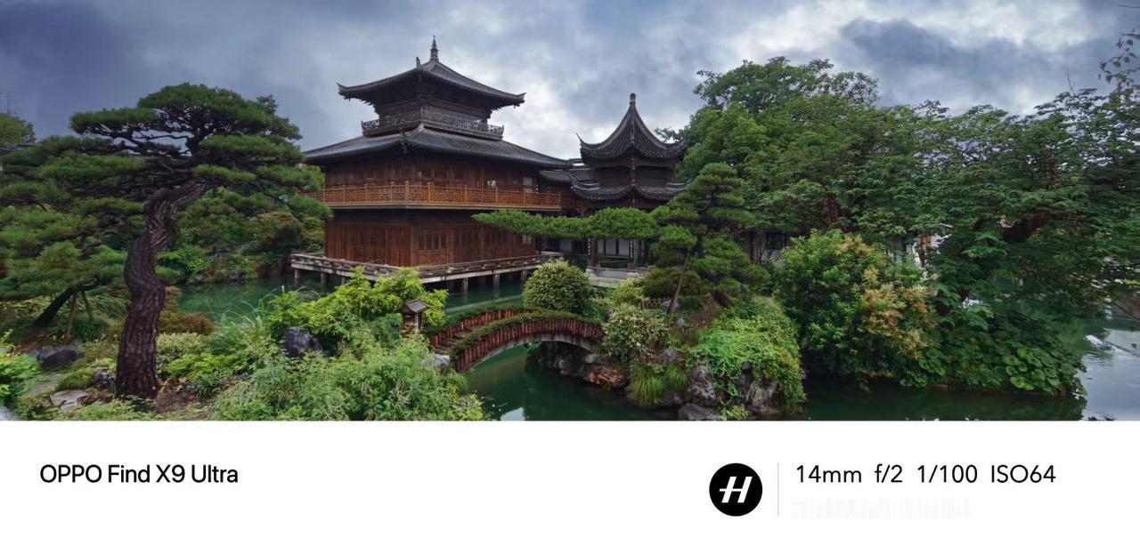 漱芳禅园……
濮院古镇的植被一定是设计过的……
（朱悦Micheal苏垦生化琴）