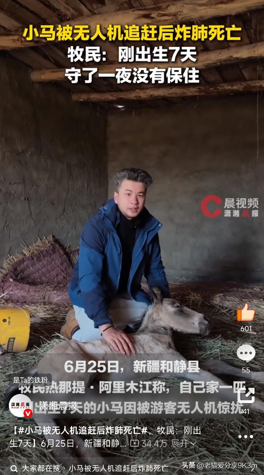文明出行，
不要用无人机惊扰牧民和牲畜

新疆和静县，一匹小马驹，来到这个世界才