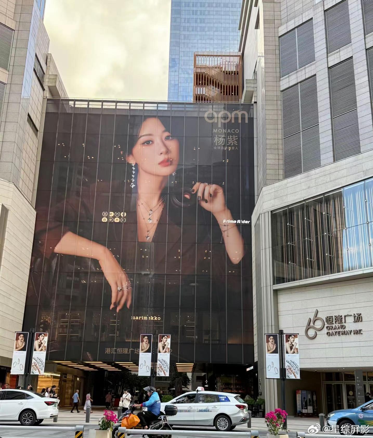 杨紫地广，一整面墙的杨紫 ​​​