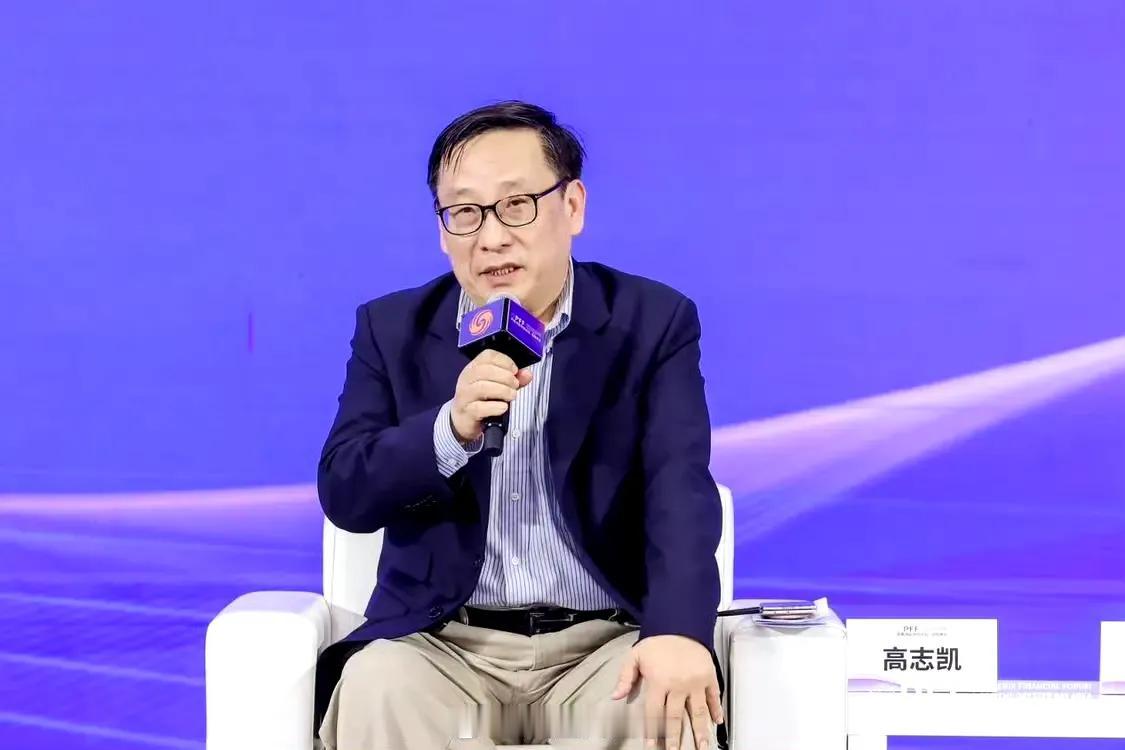 高志凯建议要大幅提高人民币在国际贸易支付结算中所占的比例。

5月27日，在凤凰