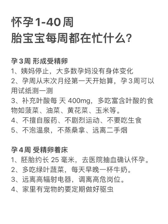 怀孕1-40周，胎宝宝每周都在肚子里做什么呢