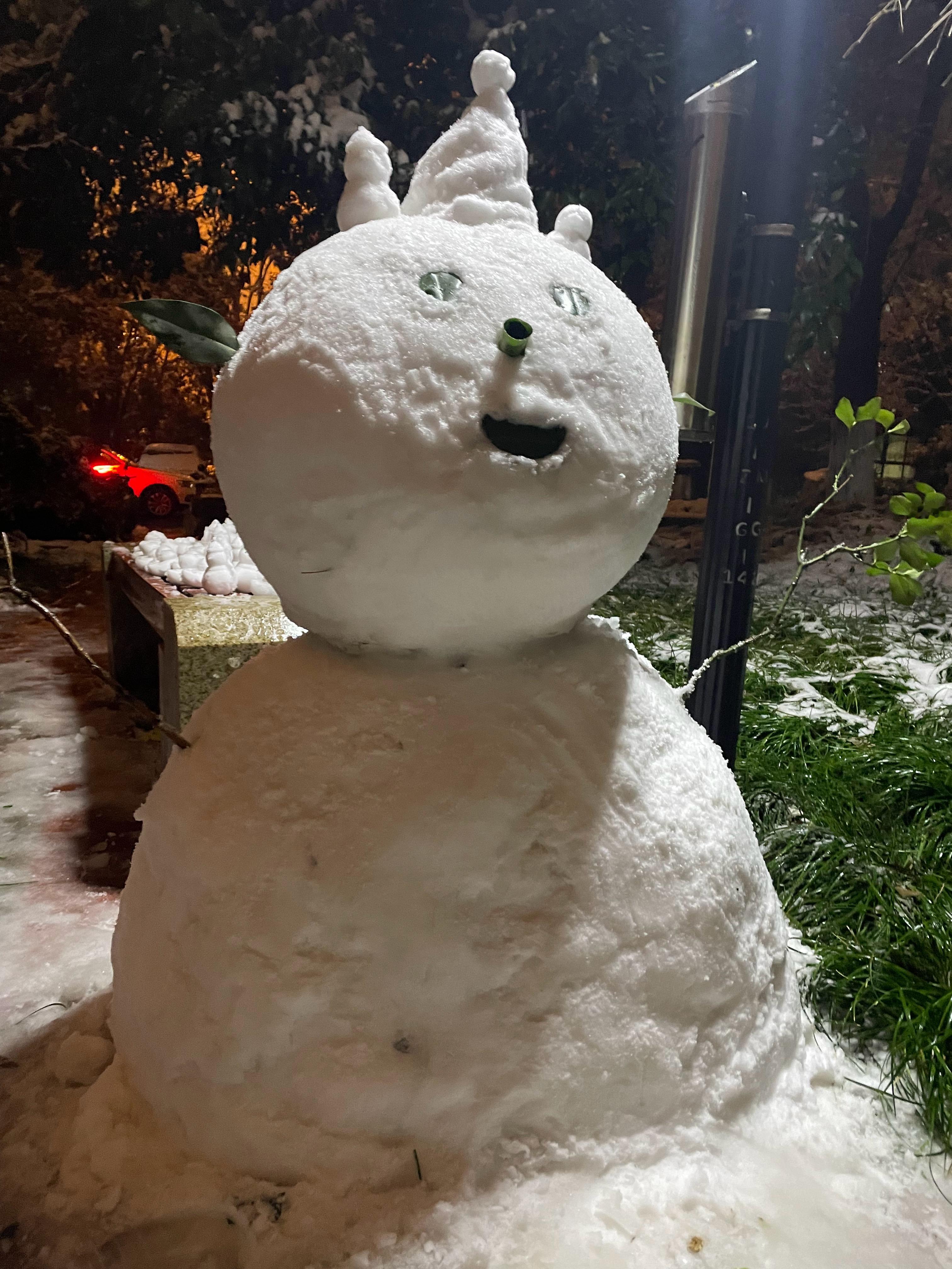 下雪快乐哈 ​​​