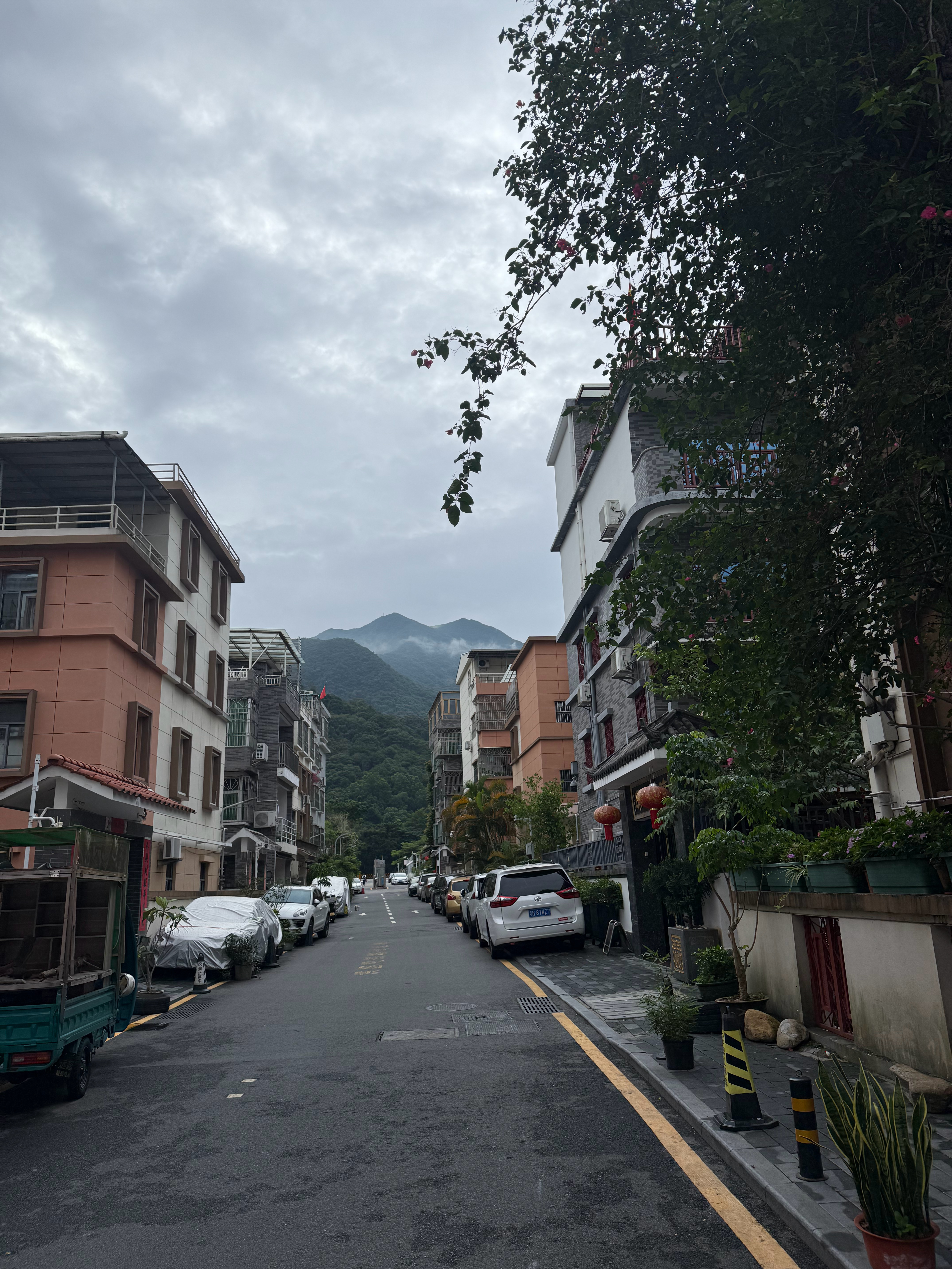 早啊，每天我最喜欢的时间点是7点左右，空气超级好，山上没什么雾气，负氧离子满配，