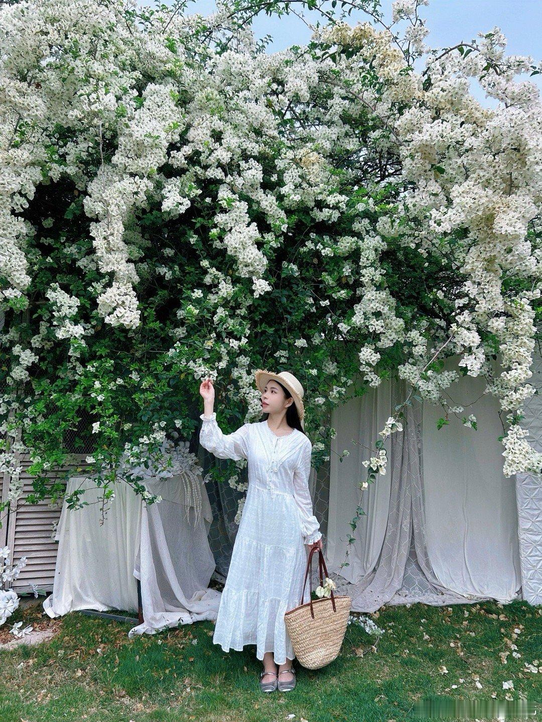 走进花园里 白色瀑布墙❀ 东莞·厚街镇
