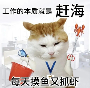 工作的本质就是赶海，每天摸鱼又抓虾 