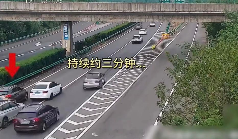 司机高速快车道停车逼停大量车 这帮过了路口的大哥们完全绕不了一点……这是停着不走
