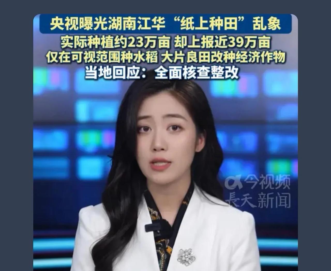 可是，年轻人在家种水稻根本养不活一家人，年轻人出去打工，家里老弱病残种水稻根本搞