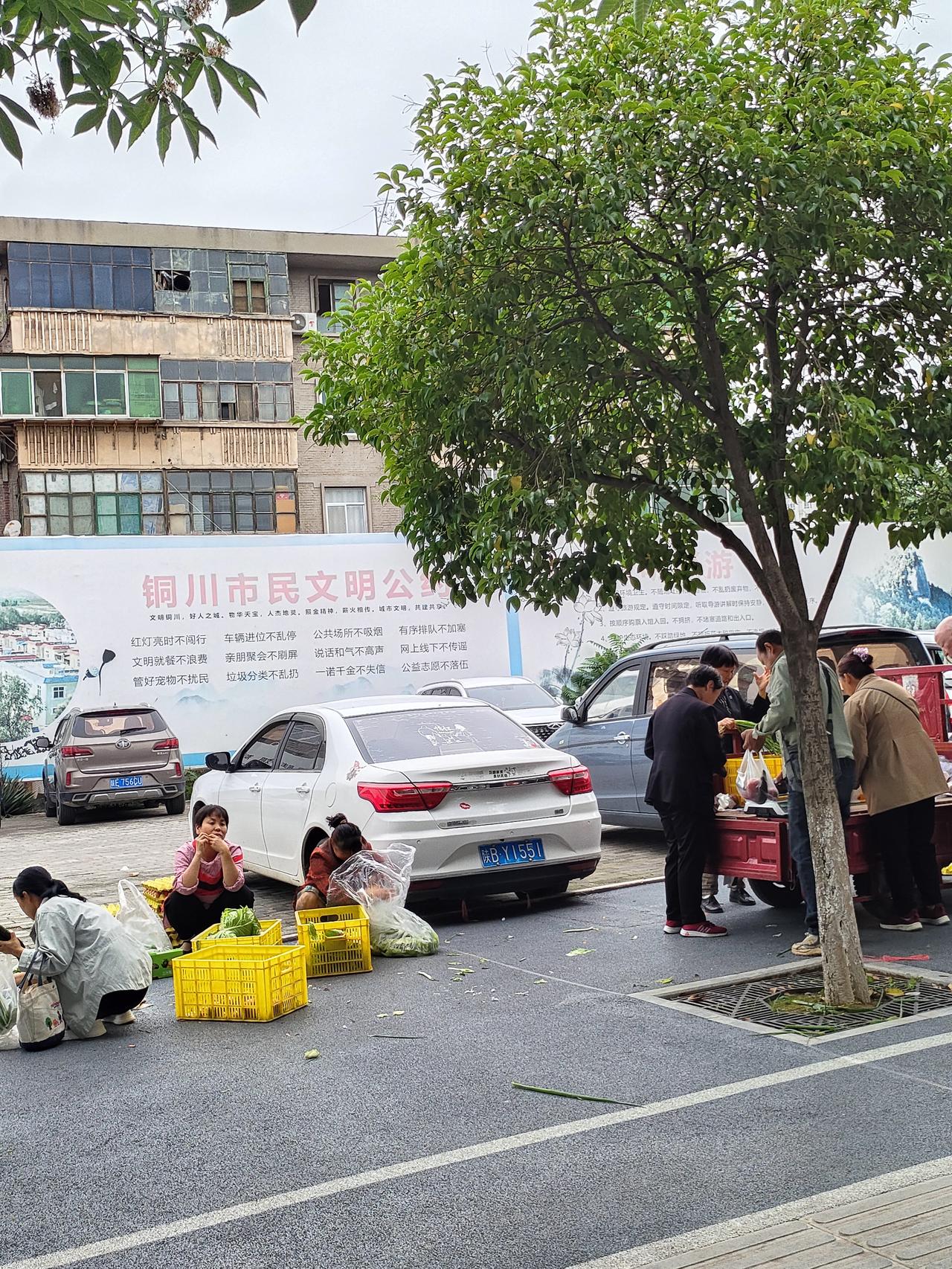 晒图笔记大赛街角的小摊、林荫下的站台，还有慢悠悠走过的行人，把铜川街头的烟火气揉