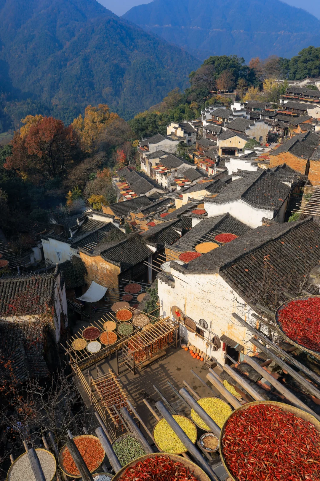 被联合国评为世界旅游乡村❗篁岭后劲太大