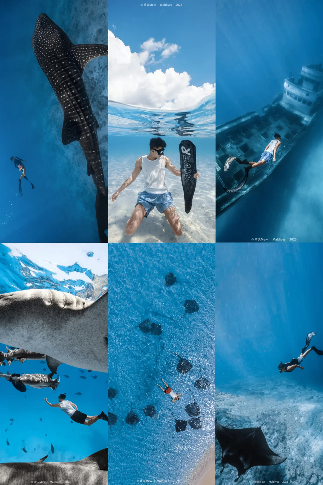 马尔代夫的水下滤镜，建议所有男生都来试试