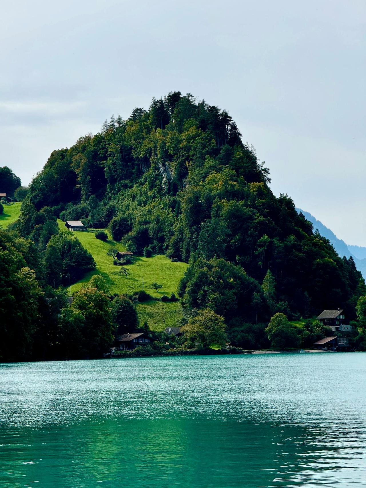 过了35岁就觉得职业生涯到头了？错！新西兰给中年人开启了职业第二春！
如果你35