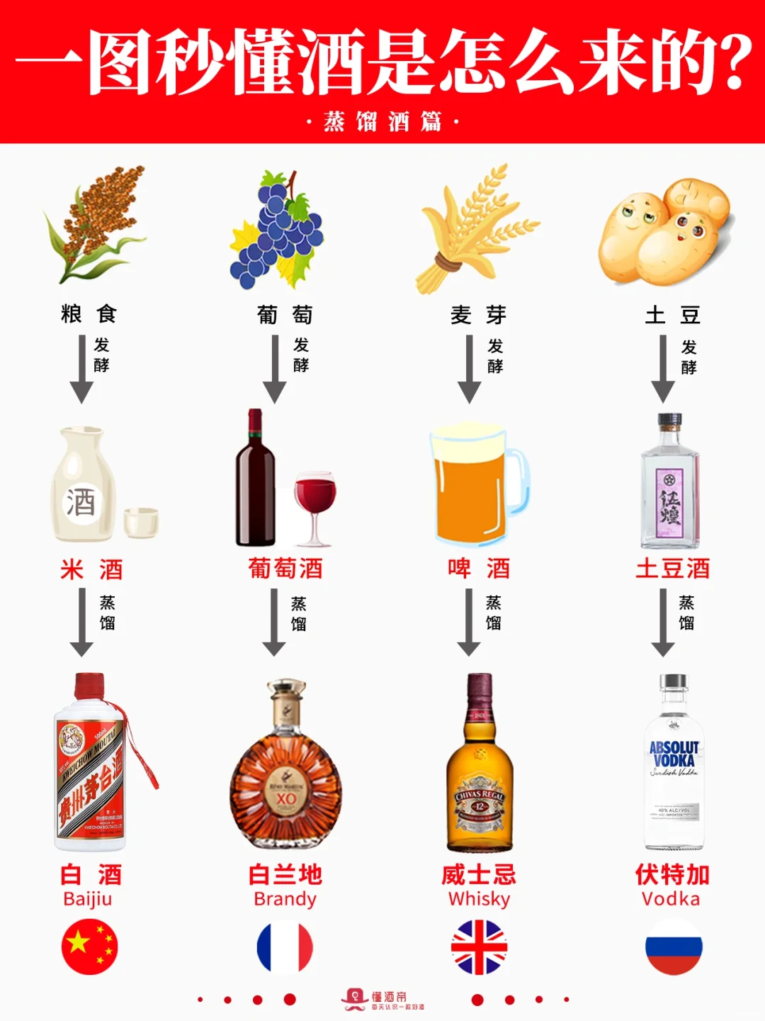 一图秒懂👀酒是怎么来的❓️秒变懂酒达人