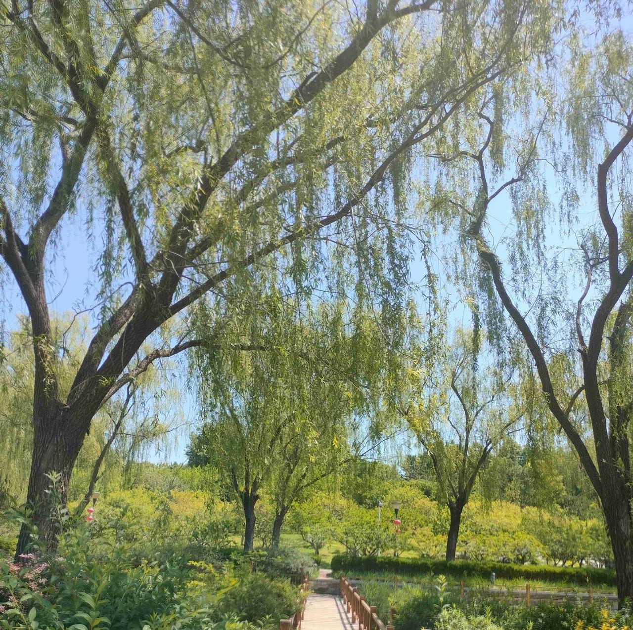 我的今日状态：💰期待暴富
我这里的天气：☀️晴天