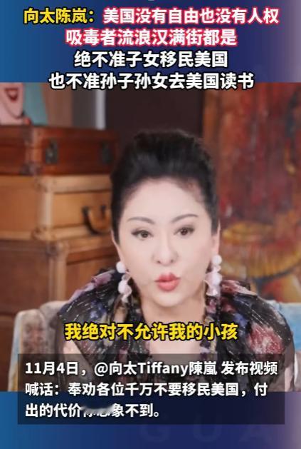 向太陈岚奉劝大家千万不要移民美国，因为她有很多朋友这几年都想离开美国回来。但头疼