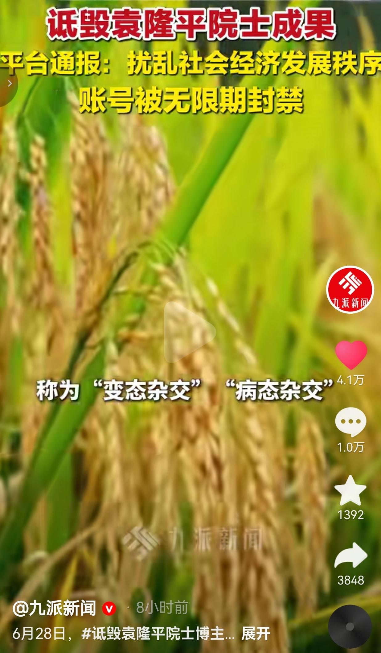200万粉丝网红造谣抹黑杂交水稻技术，诋毁袁隆平院士成果，账号遭无限期封禁
 