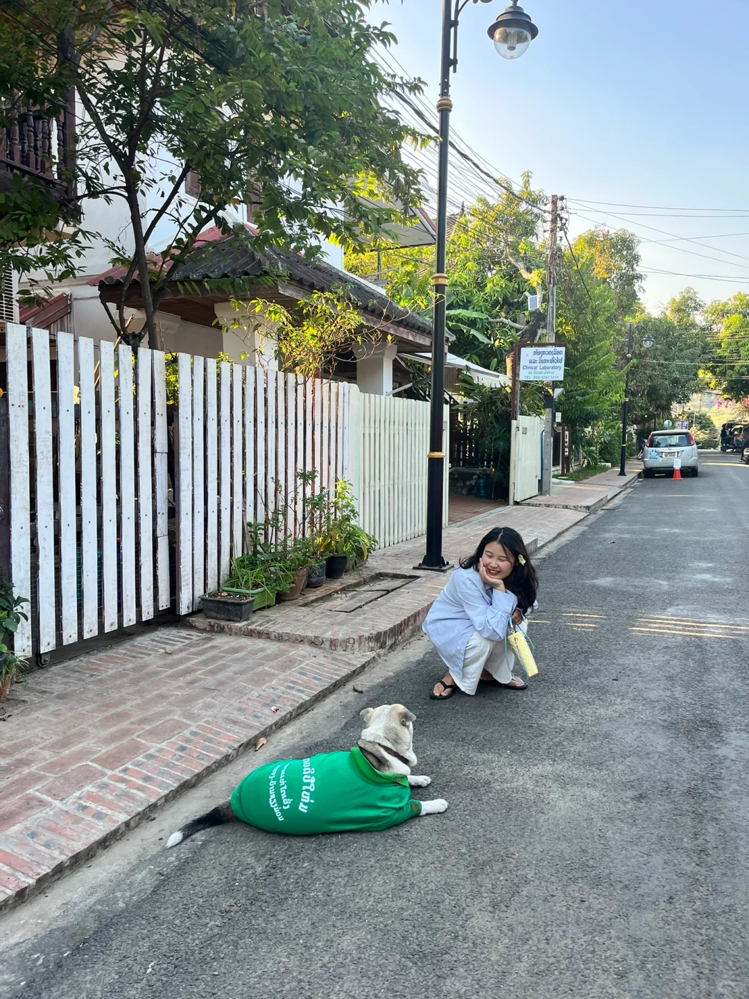 在琅勃拉邦当街溜子，和local🐶相谈甚欢