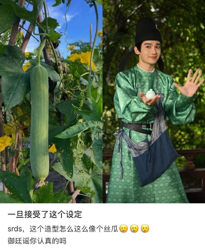 梁永棋新剧丝瓜塑梁永棋御廷谣丝瓜造型一旦接受这个设定就回不去了😆到底是谁最先发