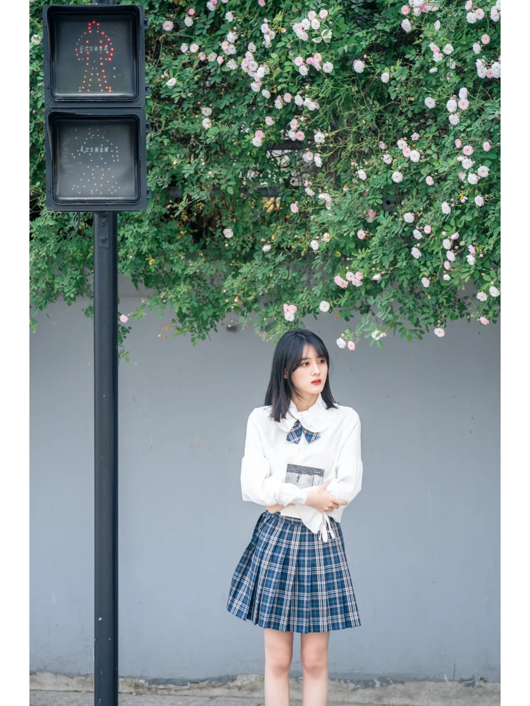 杭城花事｜我在这里等你看四月最后的蔷薇花