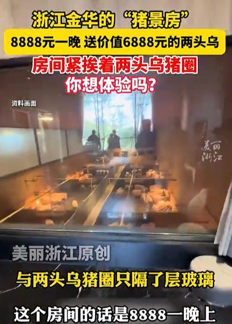8888元住一晚“猪景房”，还送一头6888元的猪！网友吵翻了：到底谁赚了？
一
