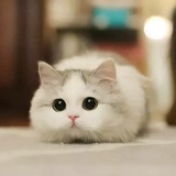 顺生说说文化