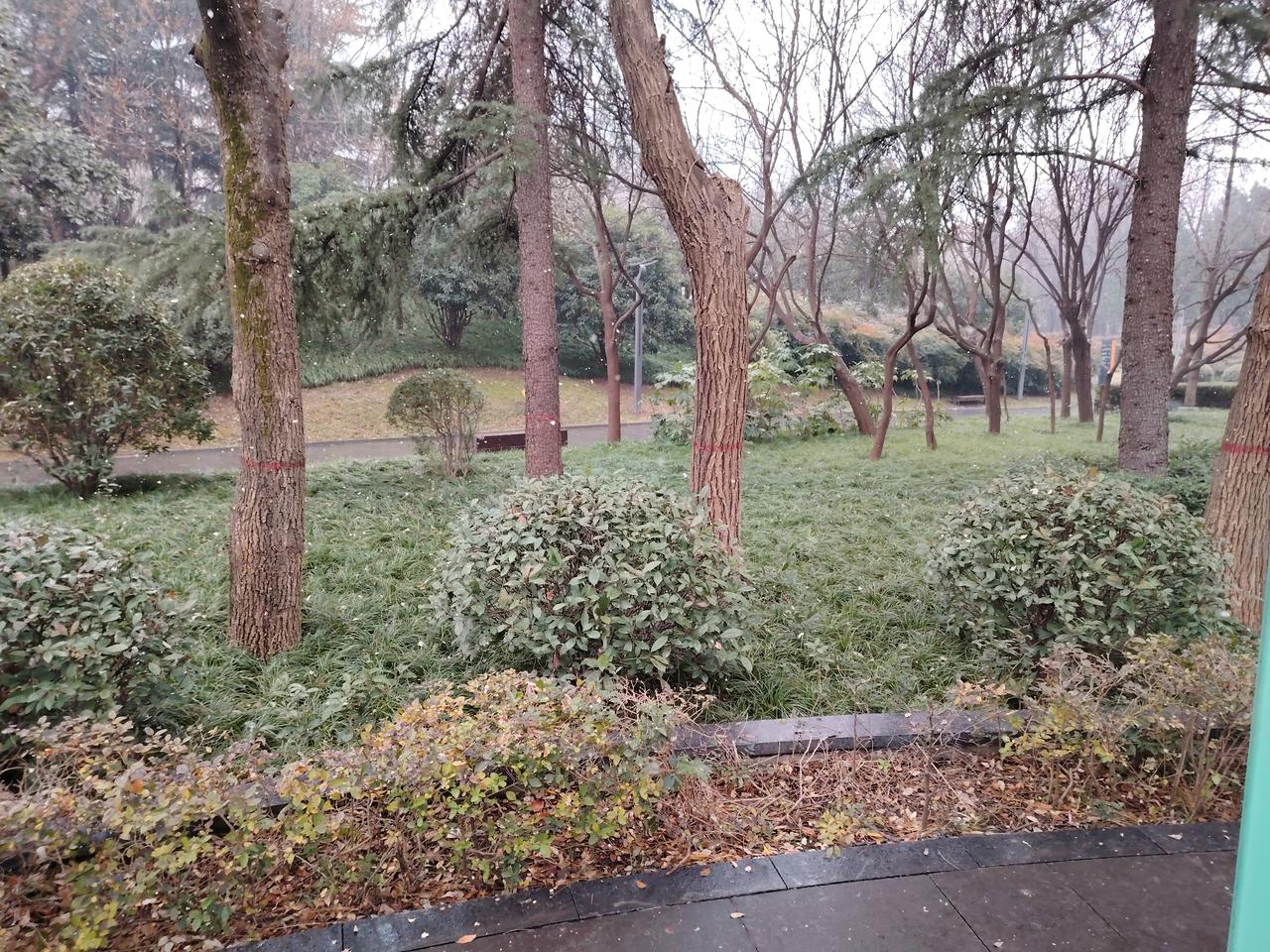 没评上高级教师的老师该不该参加他人的高级教师通过宴呢？
有一天，校长在全校聚餐时