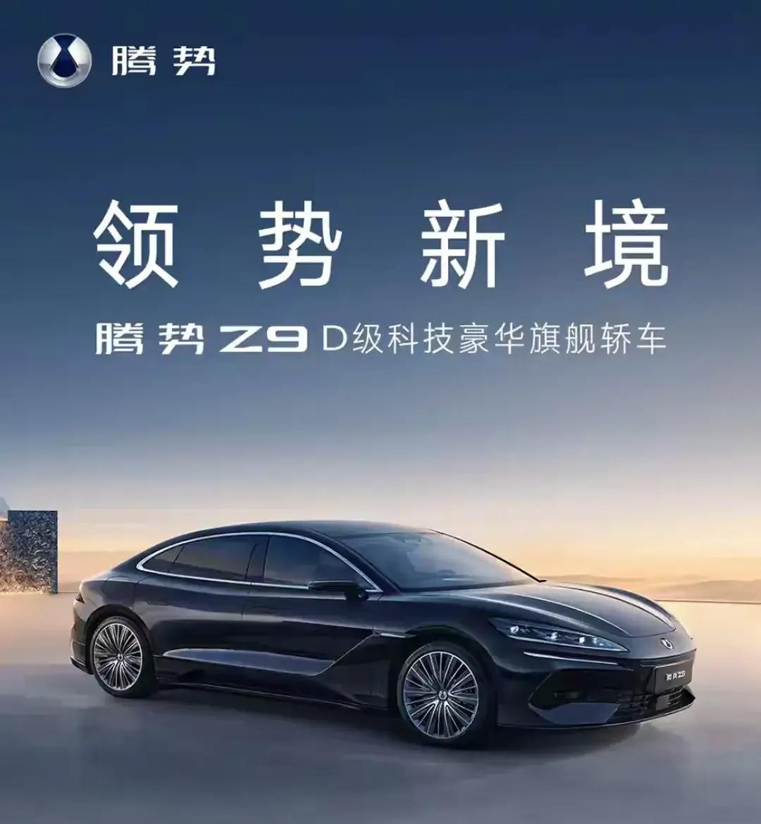 搭载DiLink智能座舱，17.3英寸中控屏，车机搭载BYD 9000定制芯片，