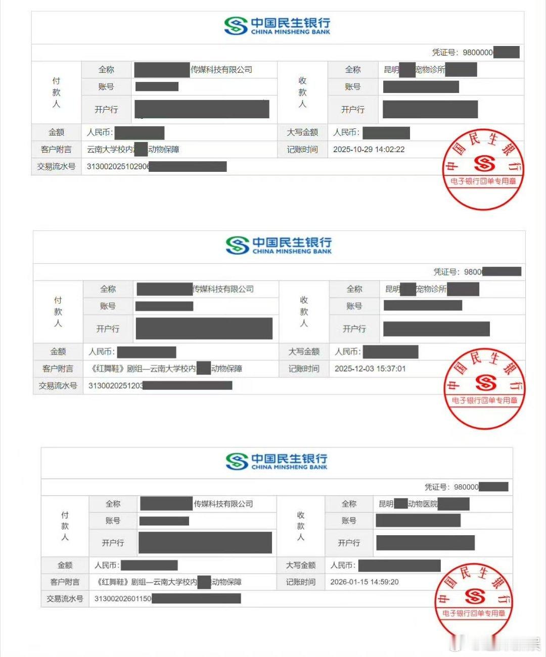红舞鞋剧组向校园内小动物捐款红舞鞋剧组向云南大学小动物捐款红舞鞋剧组向校园内小动