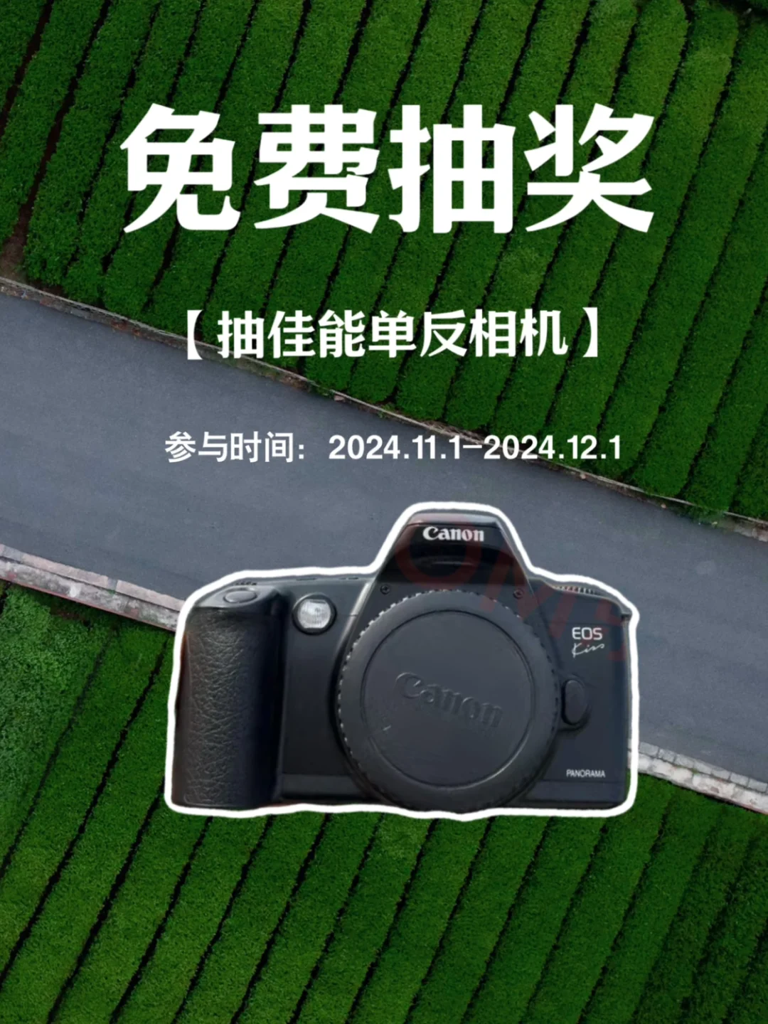 11月宠粉福利｜佳能相机免费送啦❗️❗️❗️