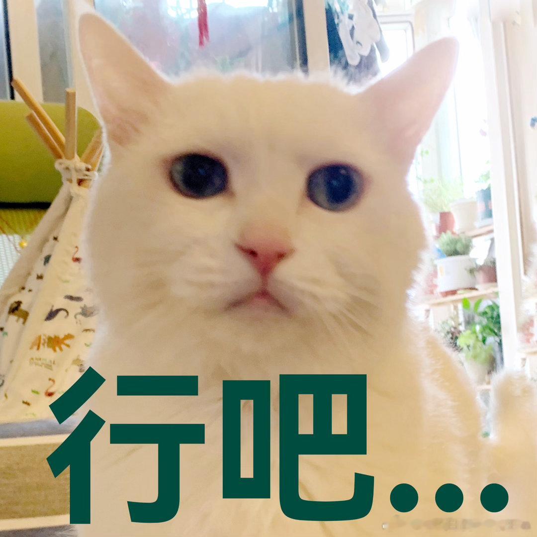 别人家老公怎么样我都不羡慕，唯一羡慕的就是别人家老公做什么就吃什么