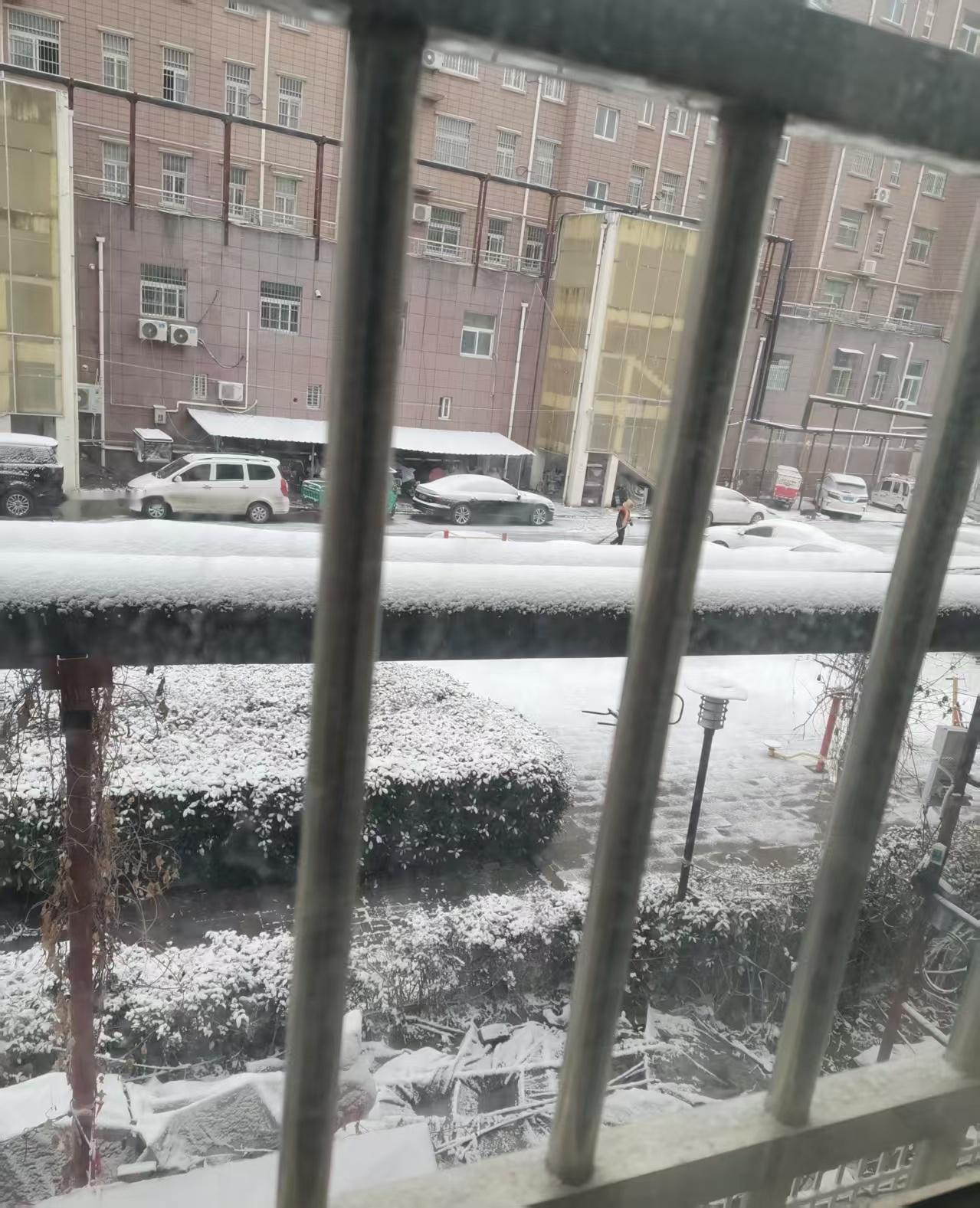 早上好拉开窗帘被惊到了窗外一片白茫茫夜里竟然悄无声息的下了一场雪哈哈下的好，下的