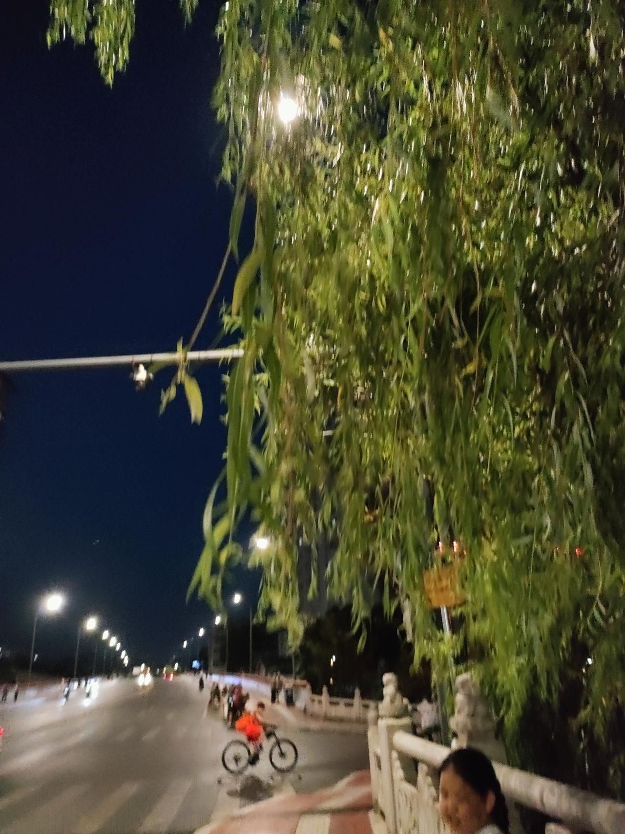随手拍张照忙完一天，走在夜里的街边，看路灯照着垂杨柳，吹吹晚风，心里就觉得安稳舒
