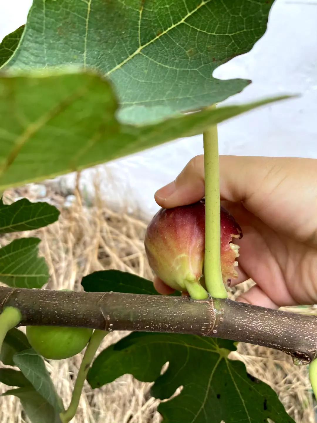 不要试图去说服任何一个人，因为能说服他自己的只有南墙。就连顽固不化和固执己见乃至