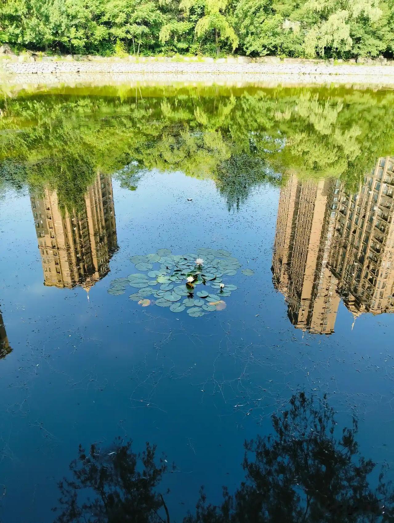 上联：湖含黛影浮仙阁
下联：水映玉盘现广寒